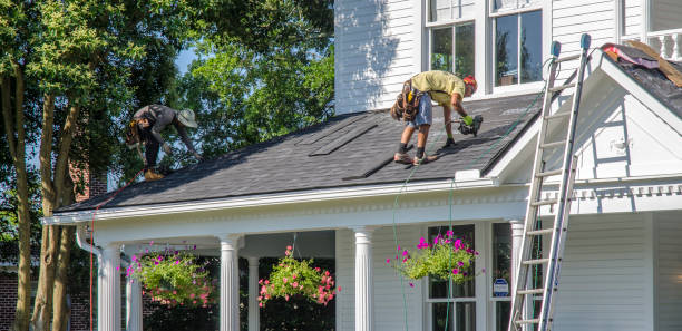 Best Roof Gutter Cleaning  in Choctaw Lake, OH